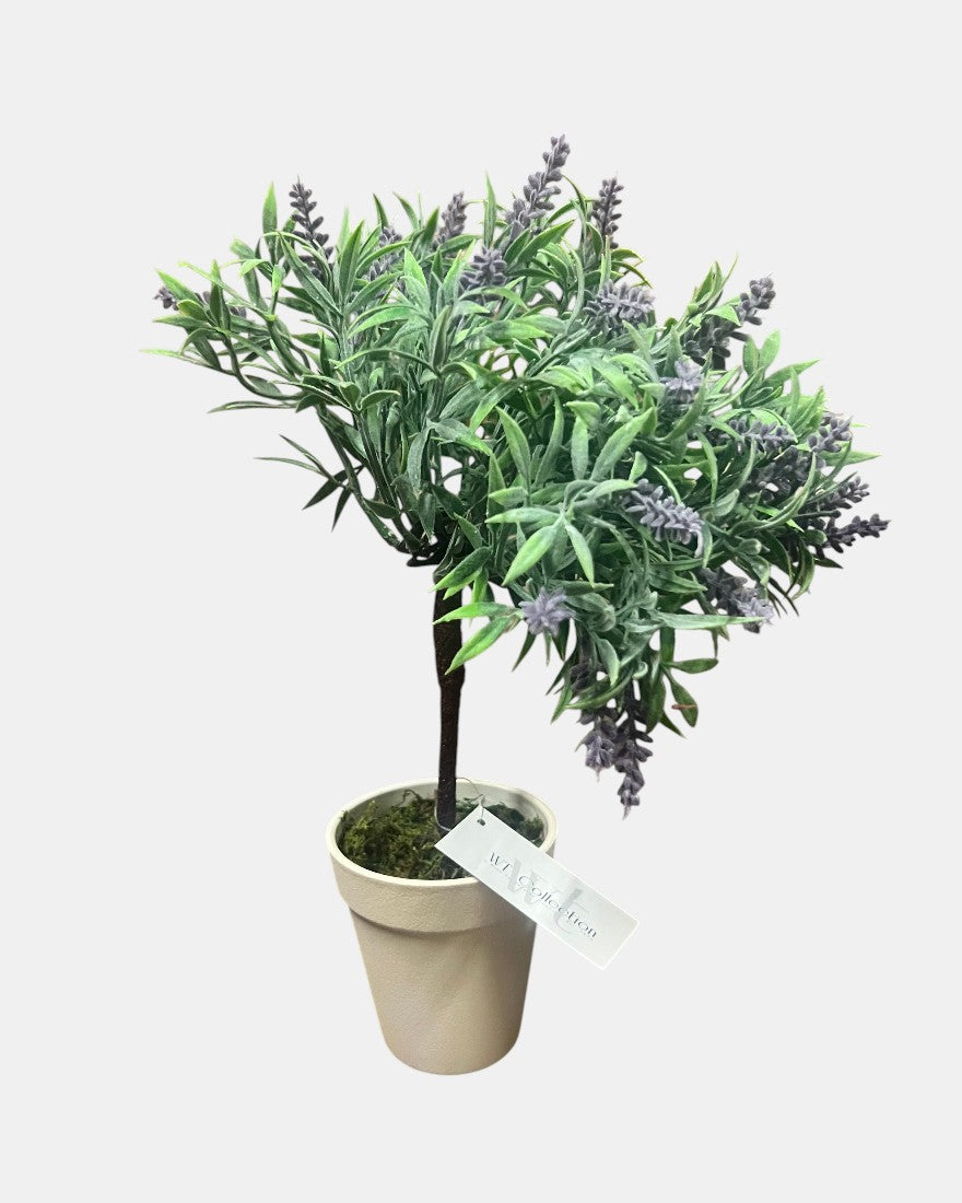 Lavandeページ FAQ61833 12 INCH LAVENDER TREE