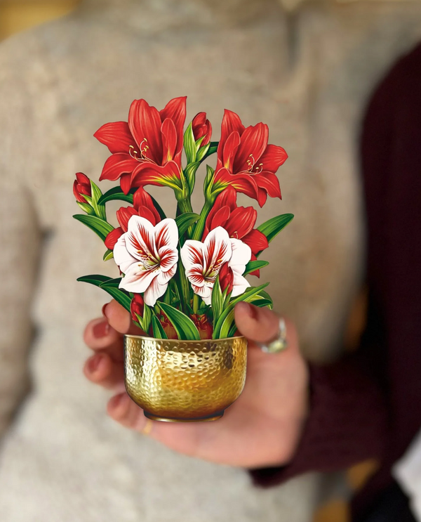 FRESHCUT PAPER 7419 MINI SCARLET AMARYLLIS