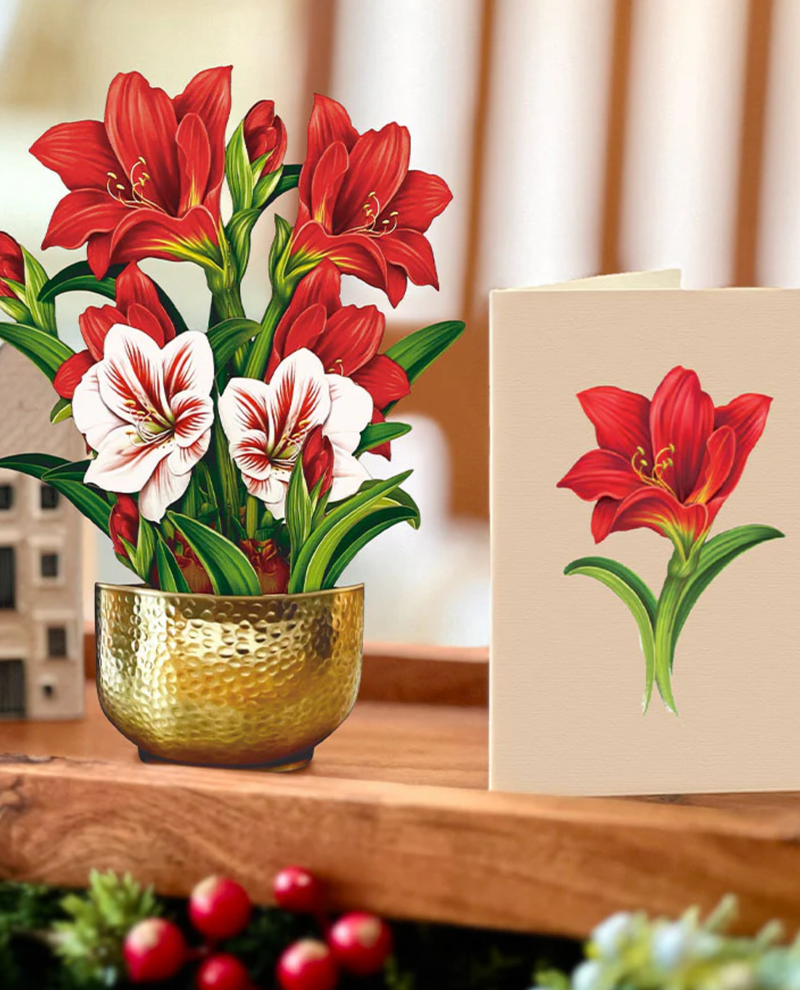 FRESHCUT PAPER 7419 MINI SCARLET AMARYLLIS