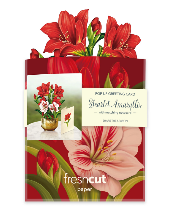 FRESHCUT PAPER 7419 MINI SCARLET AMARYLLIS