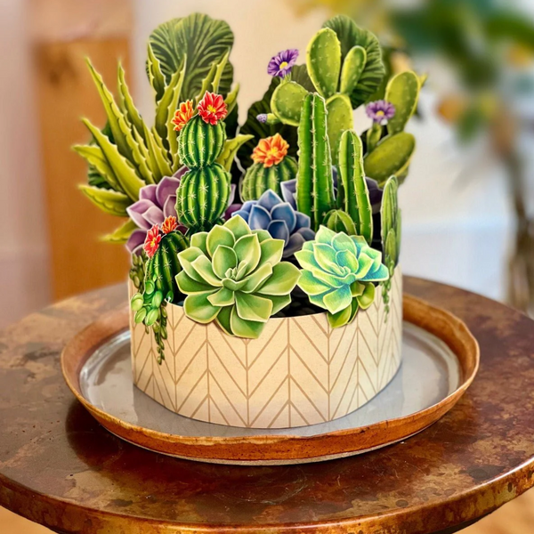 succulent store brighton mi FRESHCUT PAPER 3721 CACTUS GARDEN