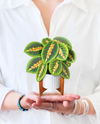 FRESHCUT PAPER 7423 PRAYER PLANT