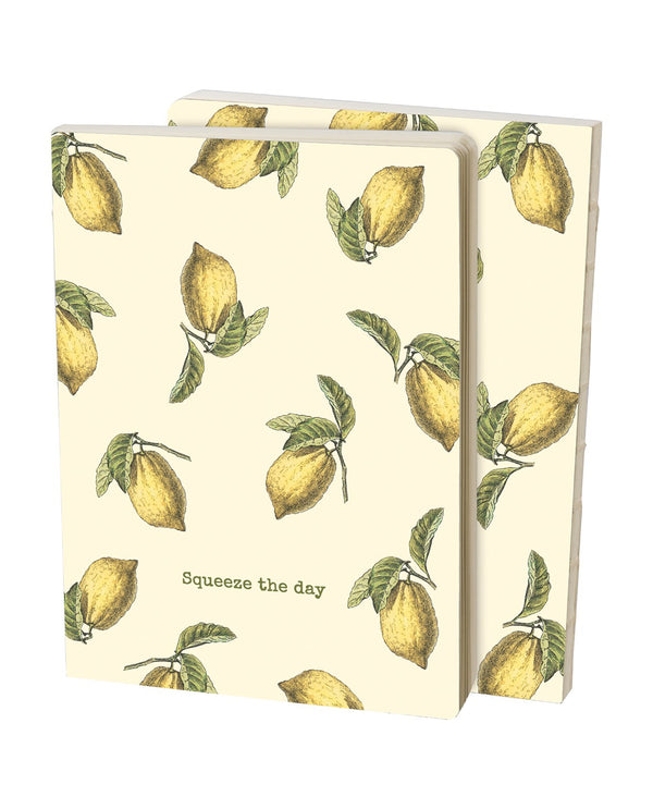 110778 SQUEEZE THE DAY JOURNAL
