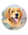 233-15 GOLDEN RETRIEVER FACE CAR COASTER