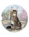 234-6 MAINE COON CAT CAR COASTER