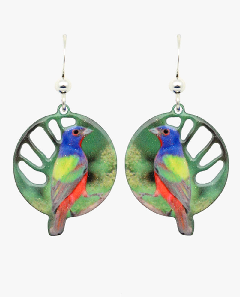 D'EARS 2342 PAINTED BUNTING CIRCLE WIRE EARRING