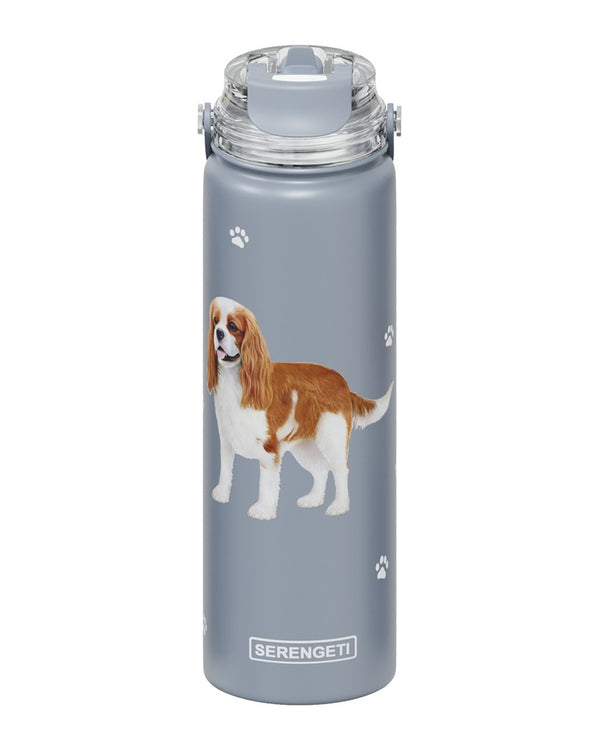 420-18 KING CHARLES CAVALIER WATER BOTTLE 24 OZ