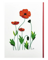 ICONIC QUILLING 332 POPPY FLOWER 5X7 CARD