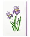 ICONIC QUILLING 334 P PURPLE IRIS 5X7 CARD