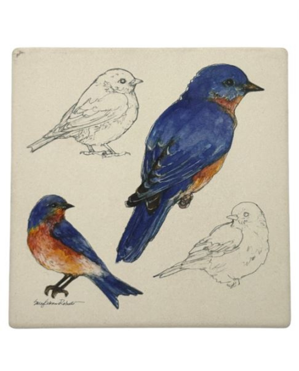 ABSORBENT CERAMIC BIRD COASTER