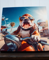LIGHTED CANVAS 10 X 10 BULLDOG MOTORCYCLE A2527