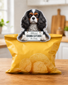 E & S CAVALIER KING CHARLES CHIP CLIP 247-19
