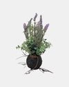 FAQ41773 LAVENDER PLANTER