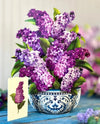 FRESHCUT PAPER 3726 GARDEN LILACS
