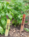 GARDEN STAKES