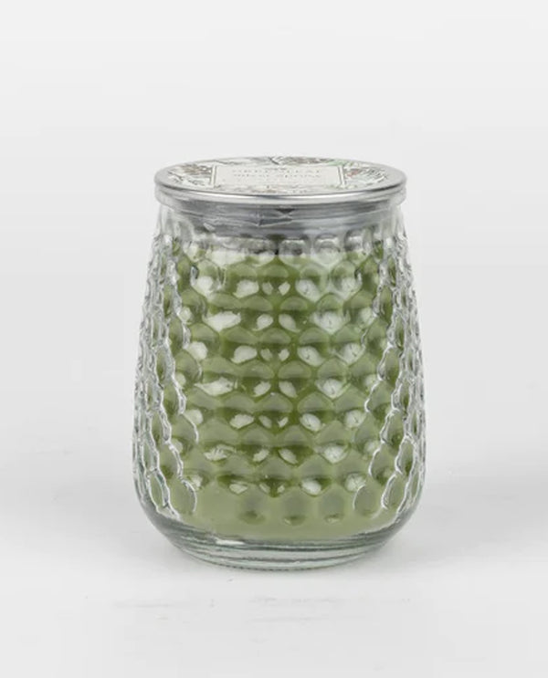 GREENLEAF GLG915485 SILVER SPRUCE SIGNATURE CANDLE