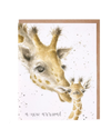 WRENDALE ARTSY SINGLE CARDS A NEW ARRIVAL