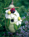 FELT BIRDHOUSE: LADYBUG 484061000