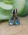 RMD JUNE LEVERBACK EARRING silky sage