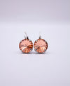RMD PENNY LEVERBACK EARRING rosaline