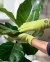 SNSDG16 NICE TOUCH MICROFIBER PLANT DUSTING GLOVES lime