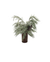 WT 26FXD15 CEDAR AND SPRUCE PLANTER SMALL