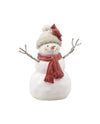 WT RXF63796 STOCKING CAP CARDINAL SNOWMAN