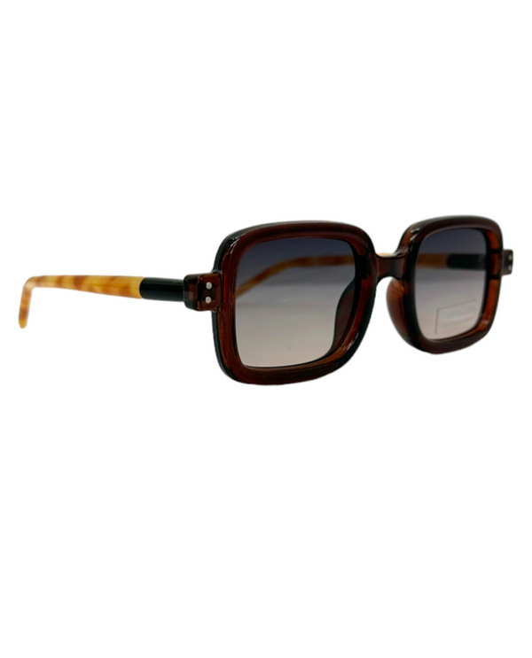 5703 SQ SUNGLASS, BROWN