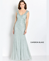 CAMERON BLAKE CB755 BEADED SHEATH V NECK & BACK sage