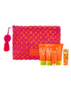 MINI BEACH VIBES 6 PIECE CLUTCH 2024CLUTCH