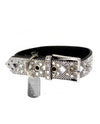 JACQUELINE KENT JKDC101 DIAMOND DOG COLLAR SILVER