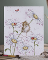 WRENDALE ARTSY SINGLE CARDS OOPS A DAISY