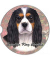 231-19 Cavalier King Charles Spaniel Car Coaster