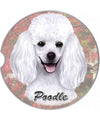 231-28 White Poodle Car Coaster
