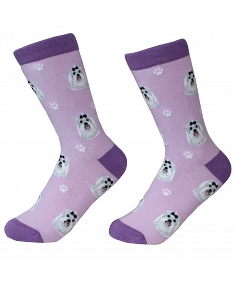 800-24 Maltese Dog Socks purple cotton socks for women with Maltese dog faces