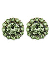 Anne Koplick ER4718 Faceted Gold Tone Post Earring prdt green Swarovski stud earrings 