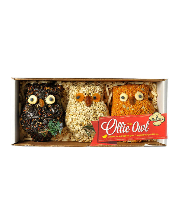 Mr. Bird 732 3-Pack Ollie Owl