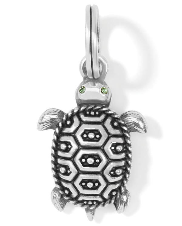 Brighton JC6510 Pismo Turtle Charm