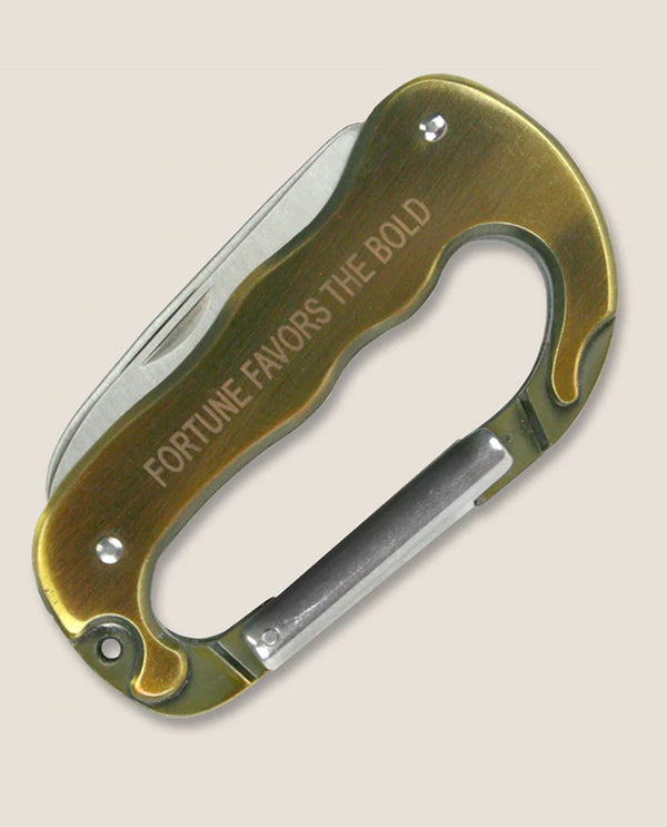 Carabiner Tool HITCH