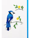 Blue Jay Card 246