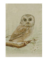 Canvas Trinket Box XS0952A Owl