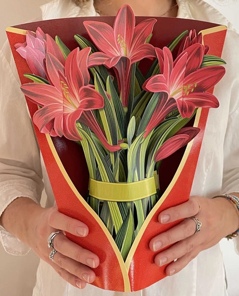 https://theclothingcove.com/cdn/shop/products/Freshcut-Paper-Red-Amaryllis-Pop-Up-Flowers_x600.jpg?v=1620073060