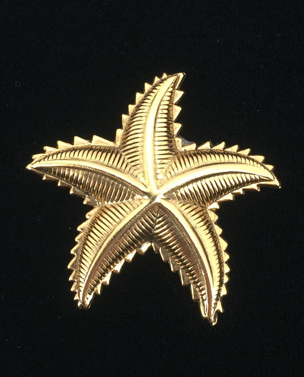 Gold Small Starfish Brooch