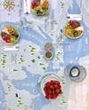 GREAT LAKES TABLECLOTH
