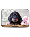 Puppies Dachshund Armored
