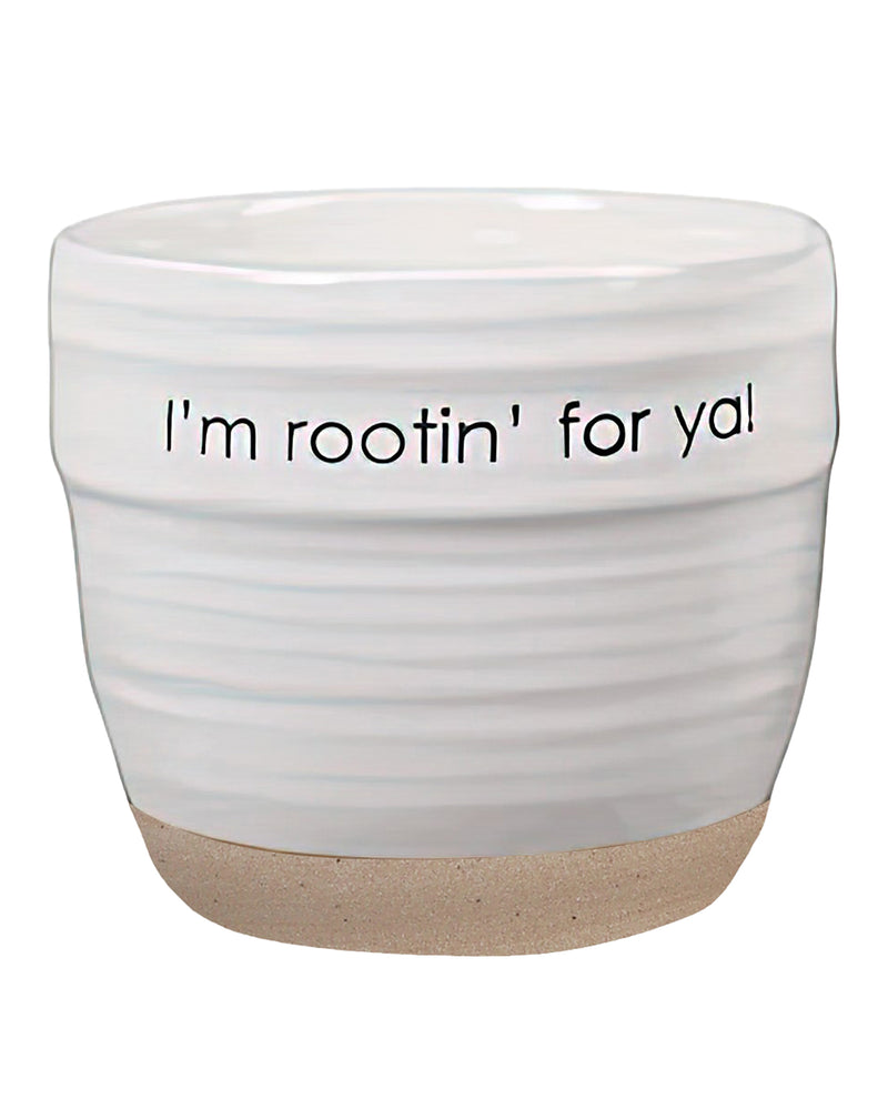 SILLY SENTIMENT PLANTER ROOT